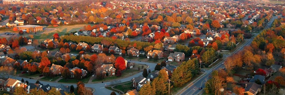 Williamson Scene banner