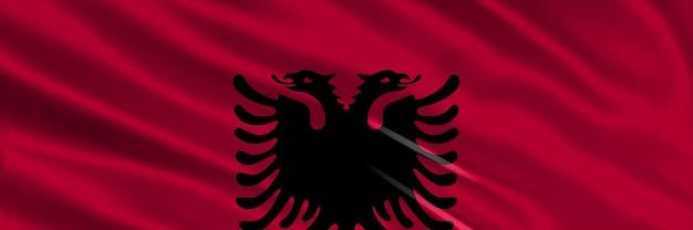 Ali Dika's banner
