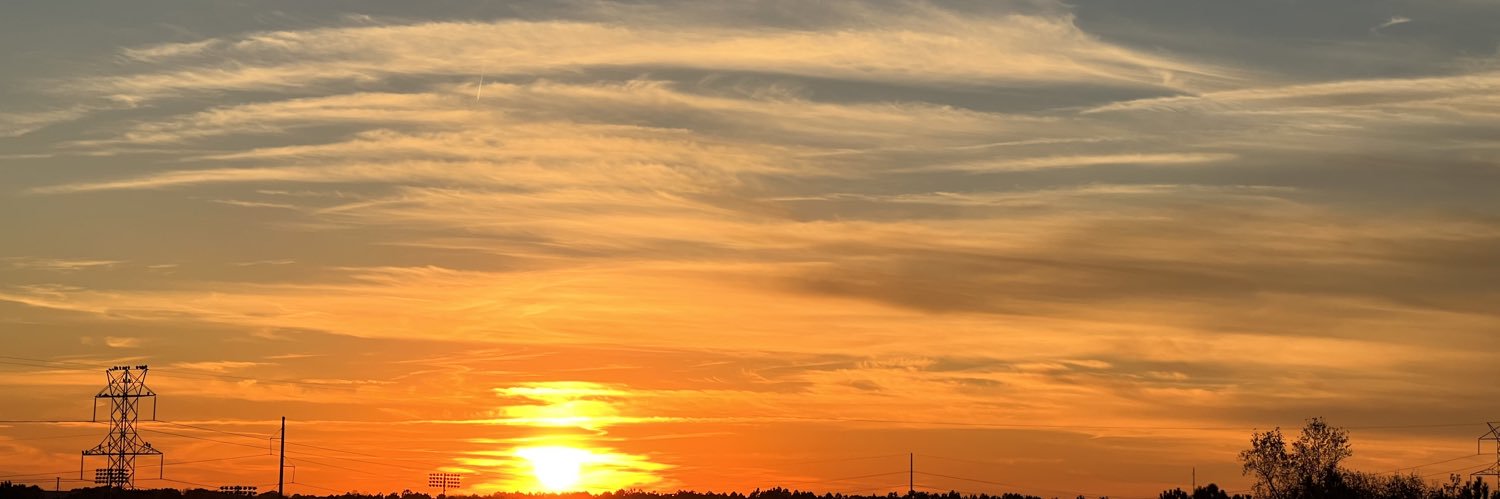 that terri 🇺🇸 banner