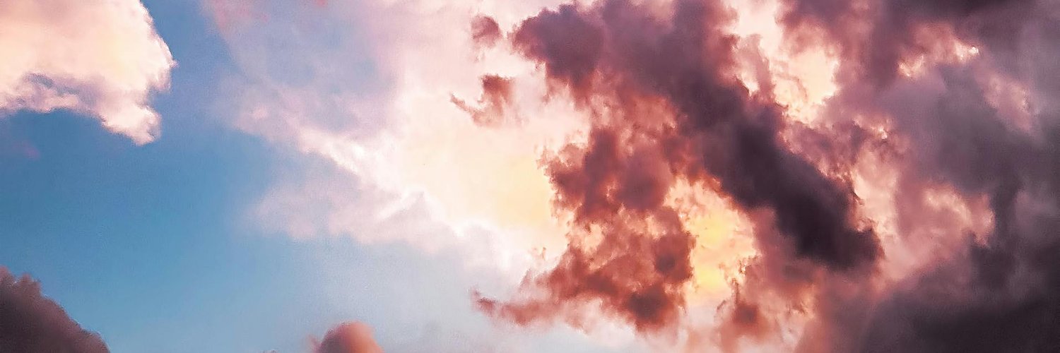 _MeredithLoz's profile banner image