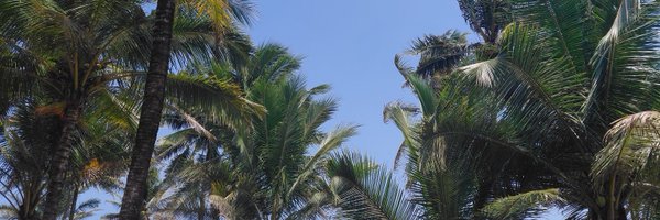 doofy02_ Profile Banner