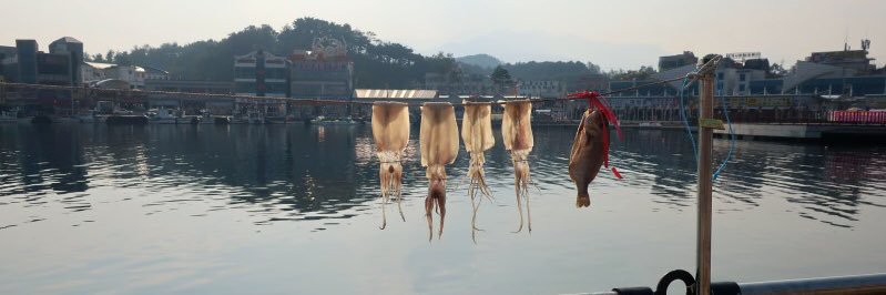 xiaonzen's profile banner image