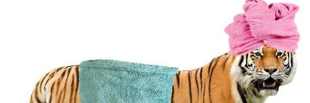 Tiger banner