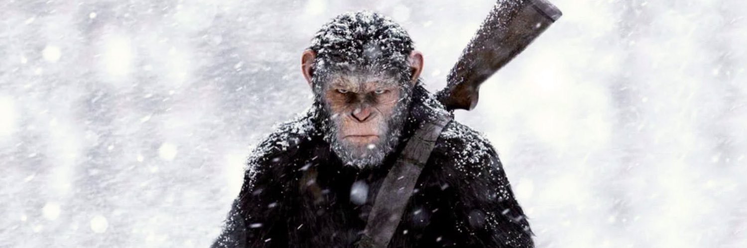 𝐓𝐚𝐢 𝐓𝐞𝐫𝐫𝐞𝐥𝐥 banner