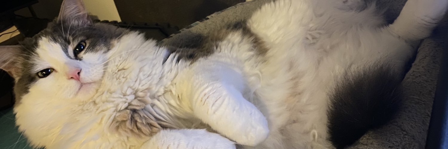 L0K1TV's profile banner image