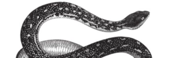 pythonfordevops Profile Banner