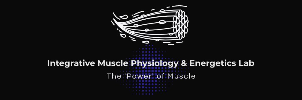 Chris Sundberg banner