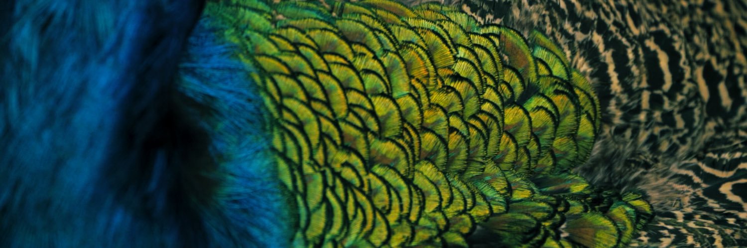 mbaqer's profile banner image