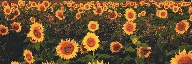 AbusAsad's profile banner image