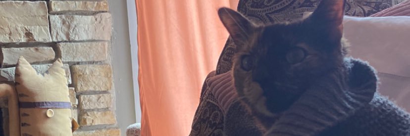 MaddJacq's profile banner image