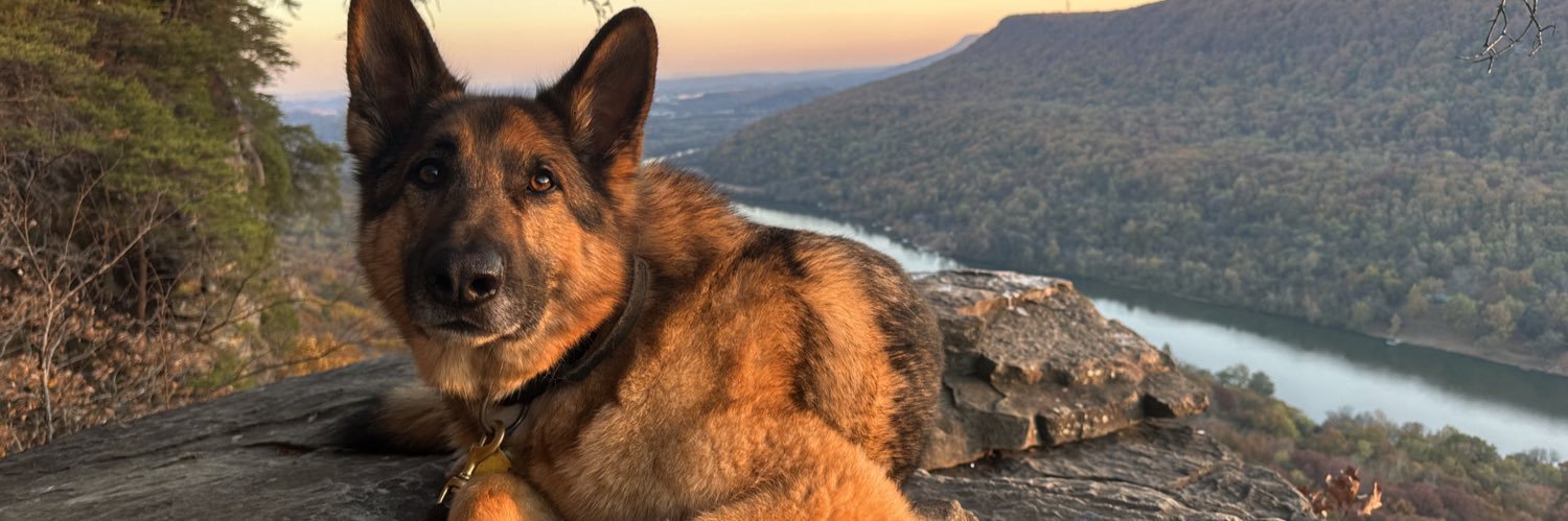 BestBoyBenson banner