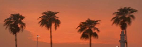 averiboysel's profile banner image