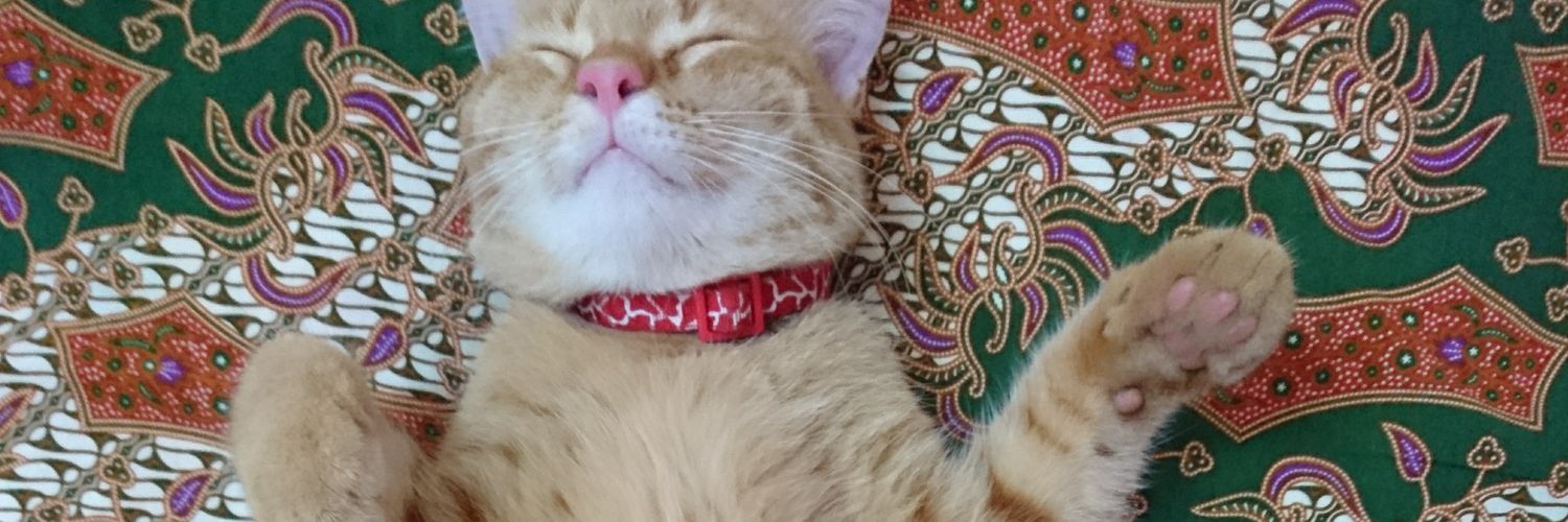 Nmoshie's profile banner image