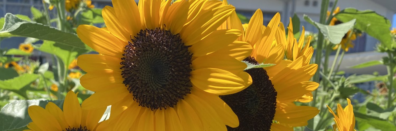expgnm's profile banner image