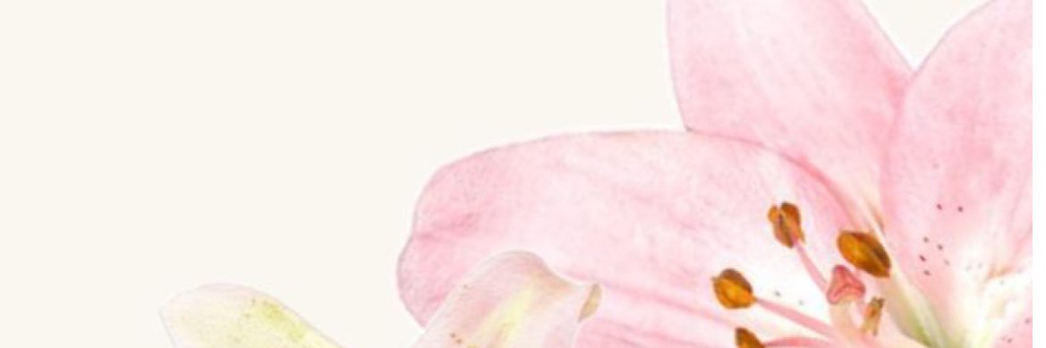 JuliStegeman's profile banner image