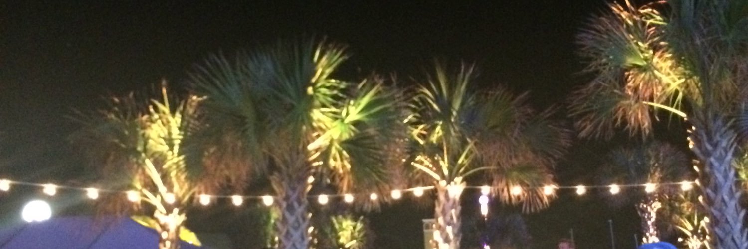 CeceTyson's profile banner image