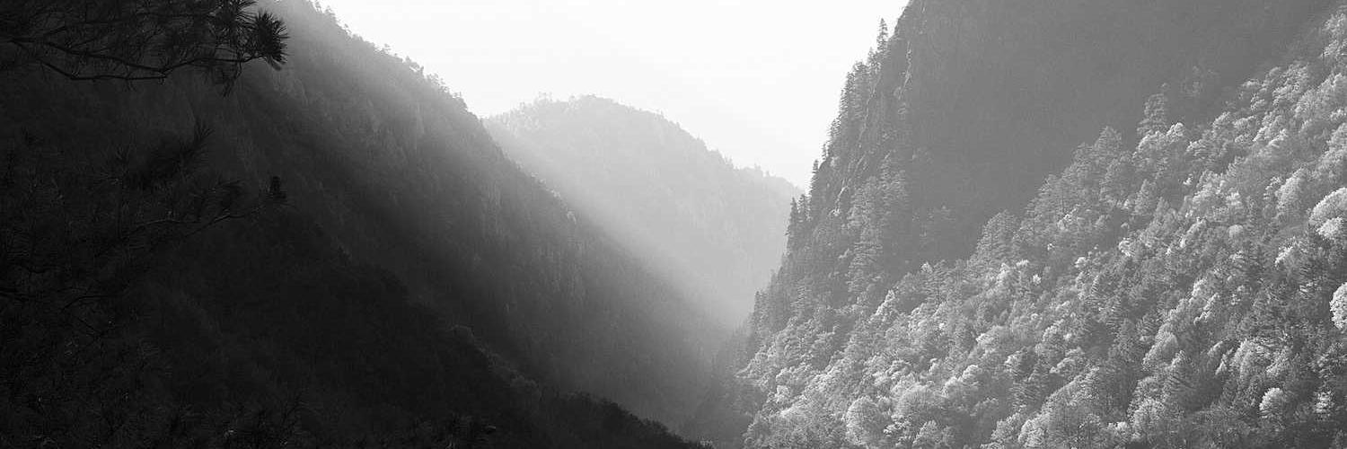 immhumbled's profile banner image
