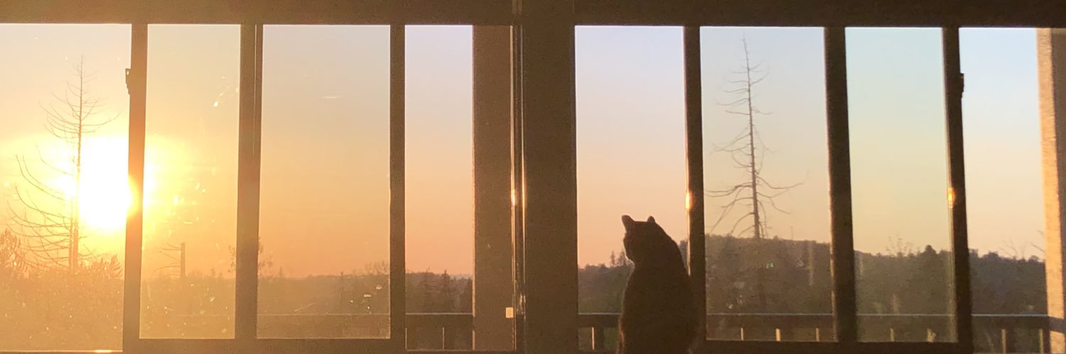 m 🏳️‍🌈 banner