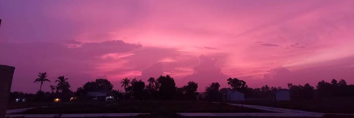 widwid1980's profile banner image