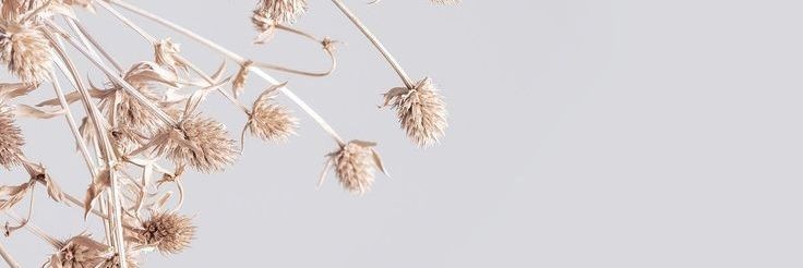 dfstyn's profile banner image