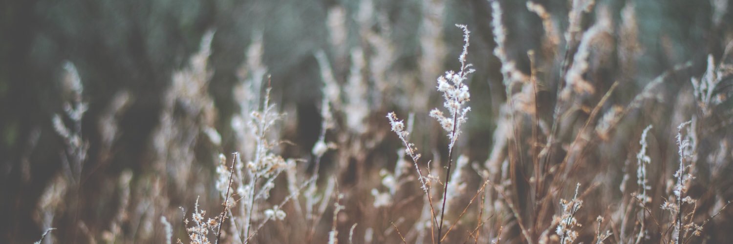tweiseman's profile banner image