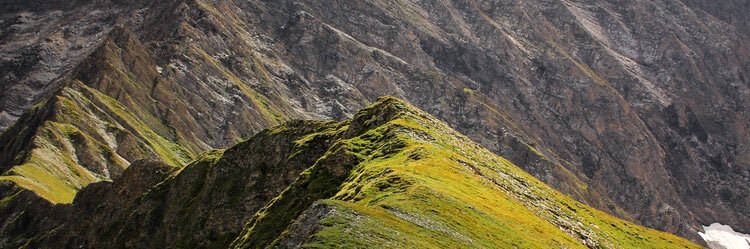anthony_stahl's profile banner image