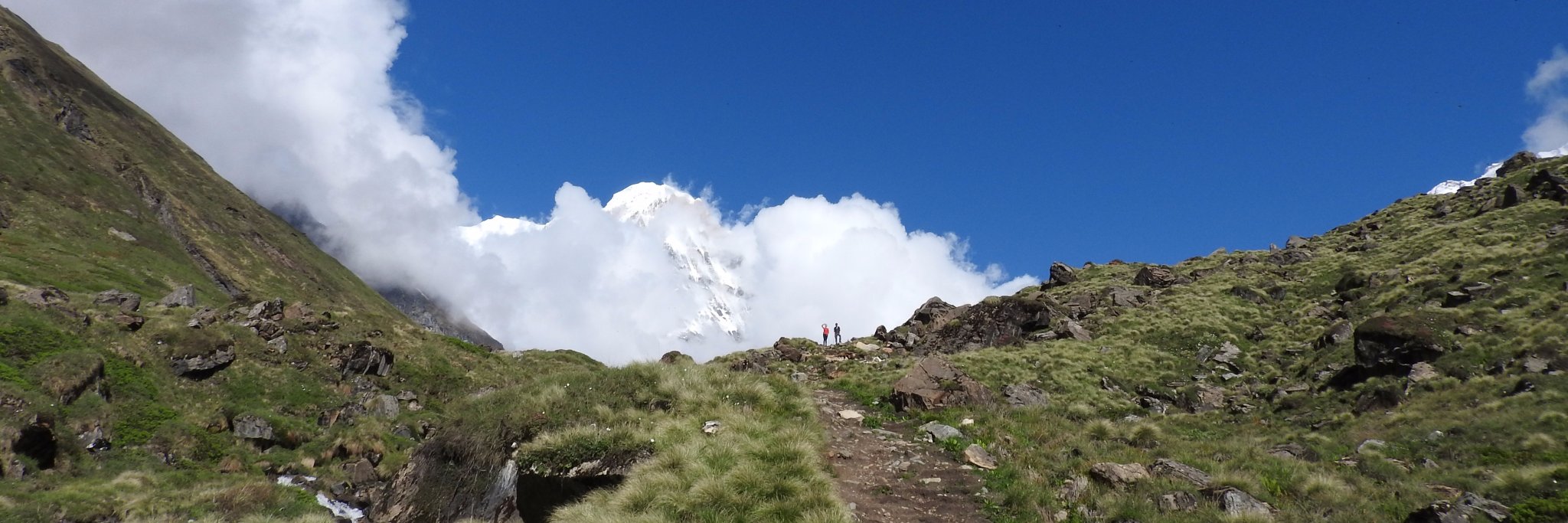 Dr. Sarah J Fick banner