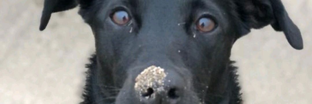 pablo_larra's profile banner image