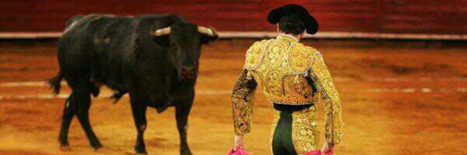 JulianVB10's profile banner image