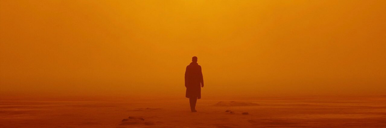 Carson Eddleman banner