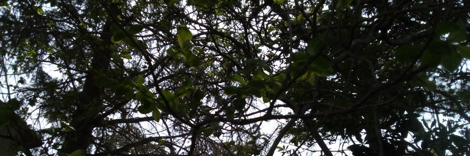 Guadaa58's profile banner image