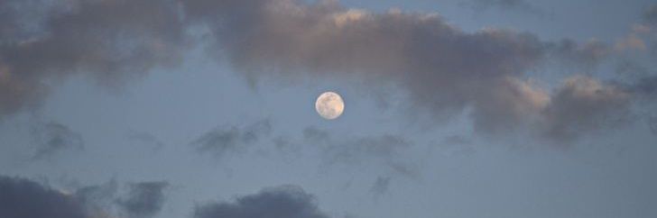 طاهاشونم banner