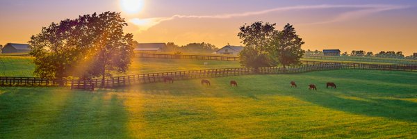 BreednetNews Profile Banner