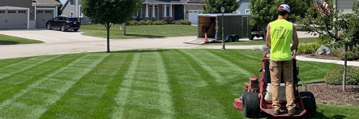 Richard Dibble banner