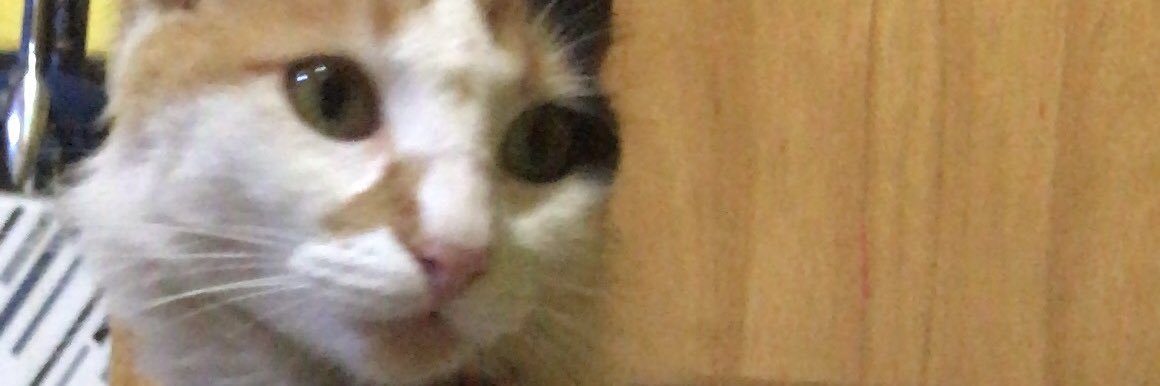PretayBella's profile banner image