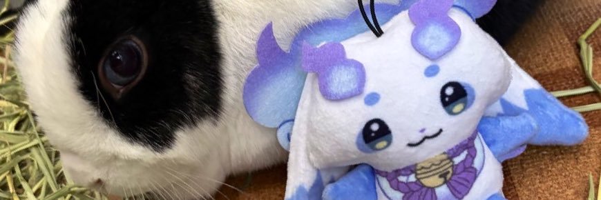 kusunoki_4's profile banner image