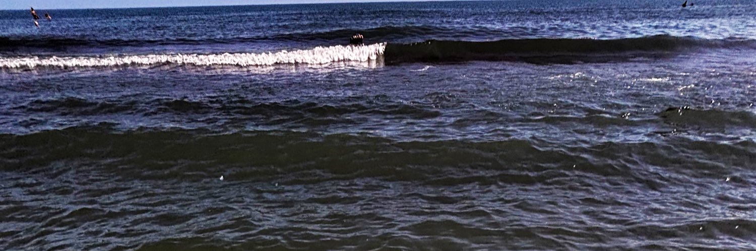 Deniz banner