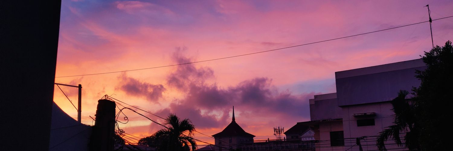 sennierosie's profile banner image
