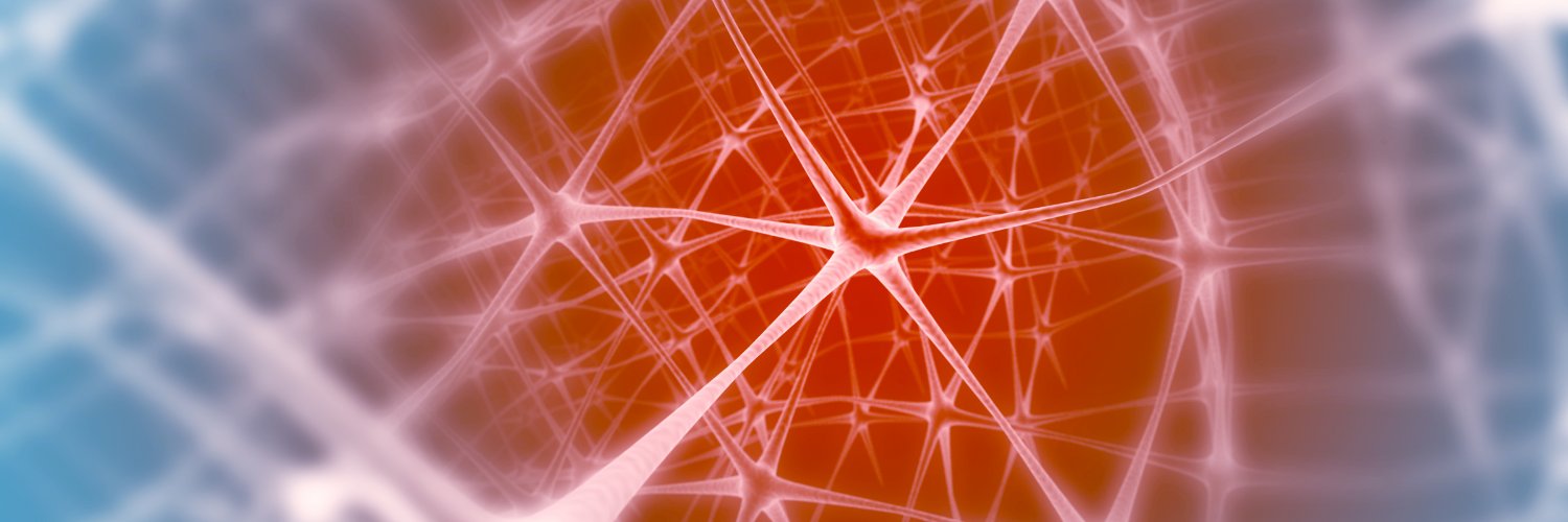ERA Net Neuron's banner