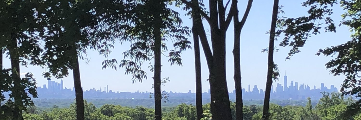 The New Educator banner