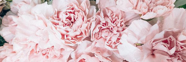 ameliawhitePR Profile Banner