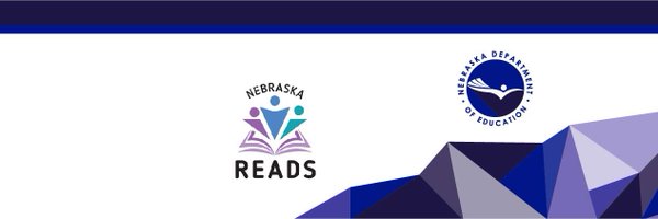 NDE_Reads Profile Banner