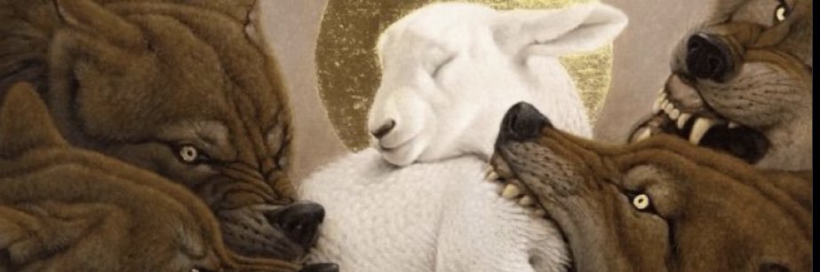 fodivo.com banner
