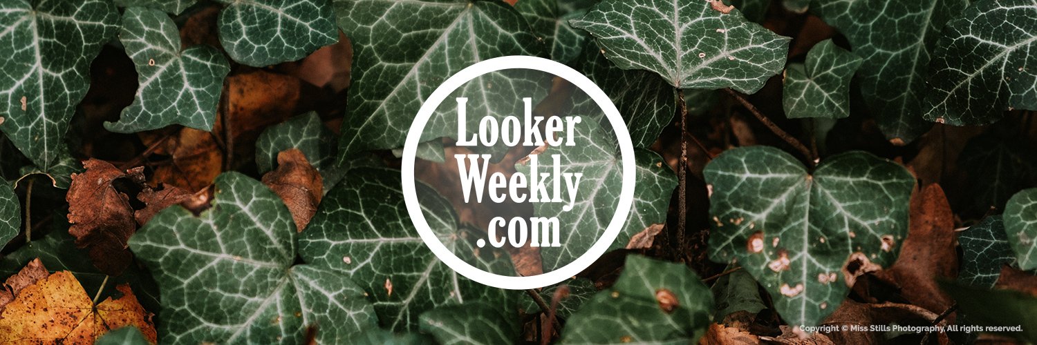 LookerWeekly's profile banner image