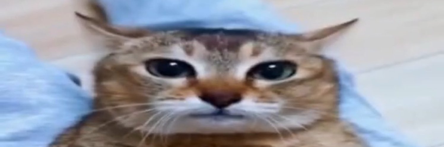 afterosehours's profile banner image