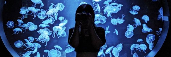 namida888888 Profile Banner