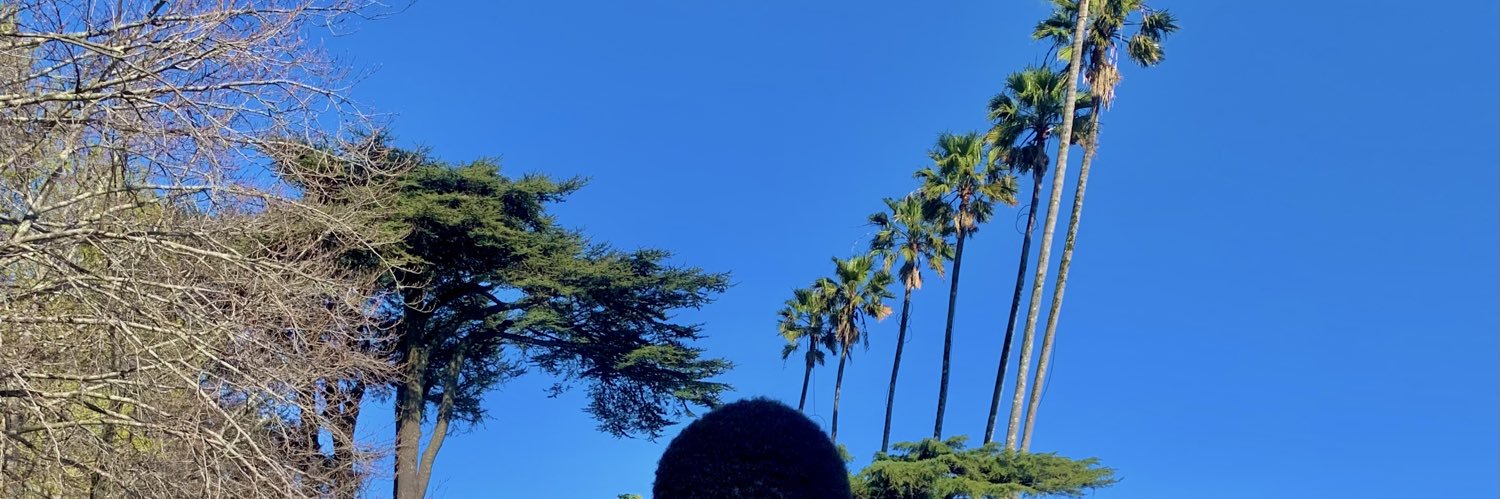 Del crush🪴 banner