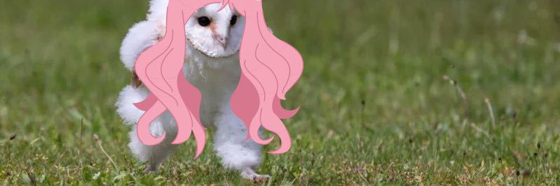 ガンバレナイーヤまりん banner