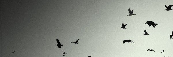 anarchyllect Profile Banner