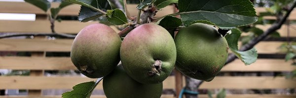 highpeakcider Profile Banner